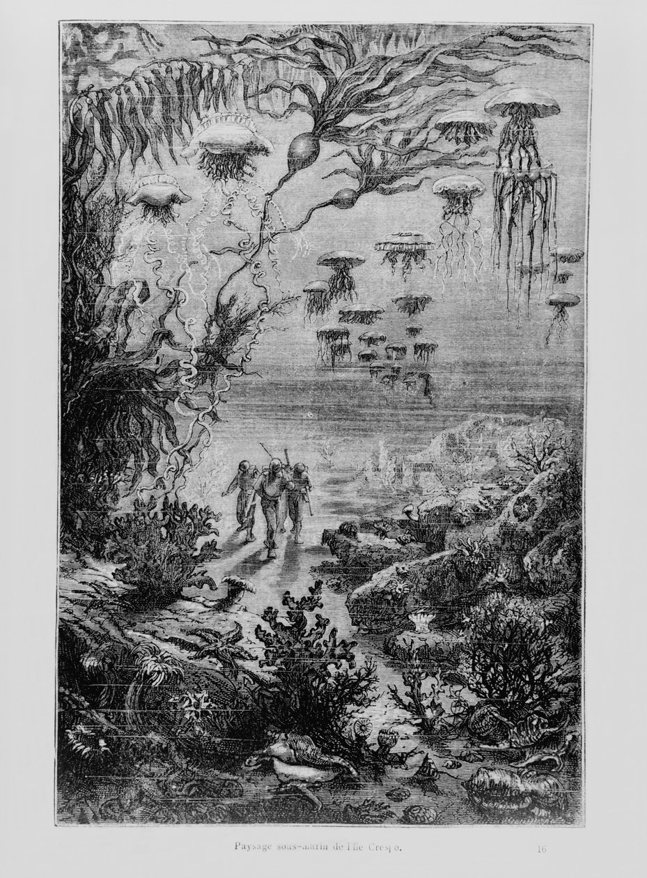 08 Alphonse_Marie_de_Neuville_-_Illustration_from_20000_Leagues_Under_the_Sea